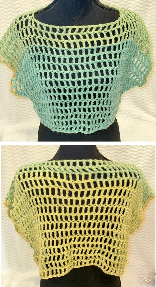 Crocheted Mesh Crop Top