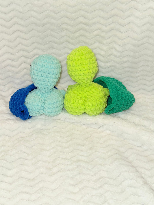 Turtle with a secret