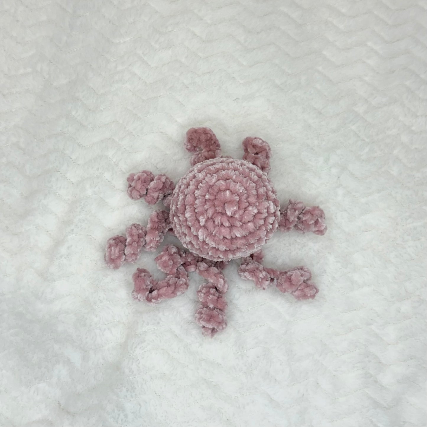 Velvet Octopus