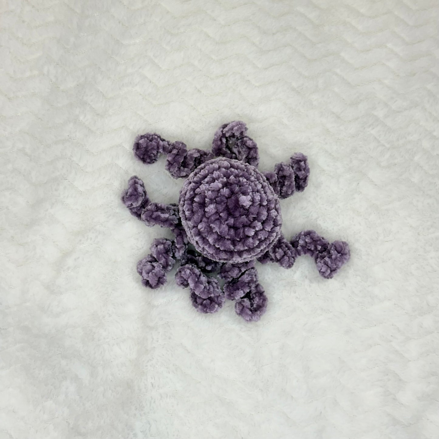 Velvet Octopus