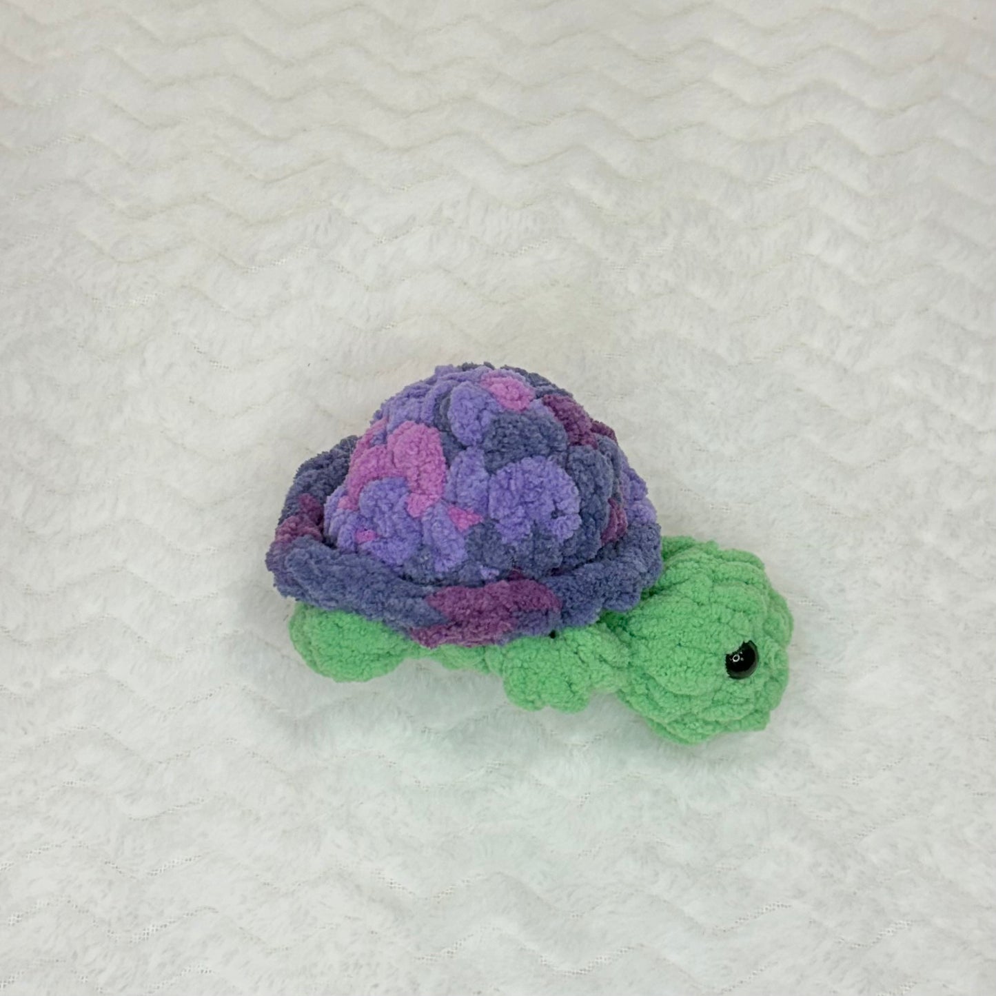 Tiny Turtle