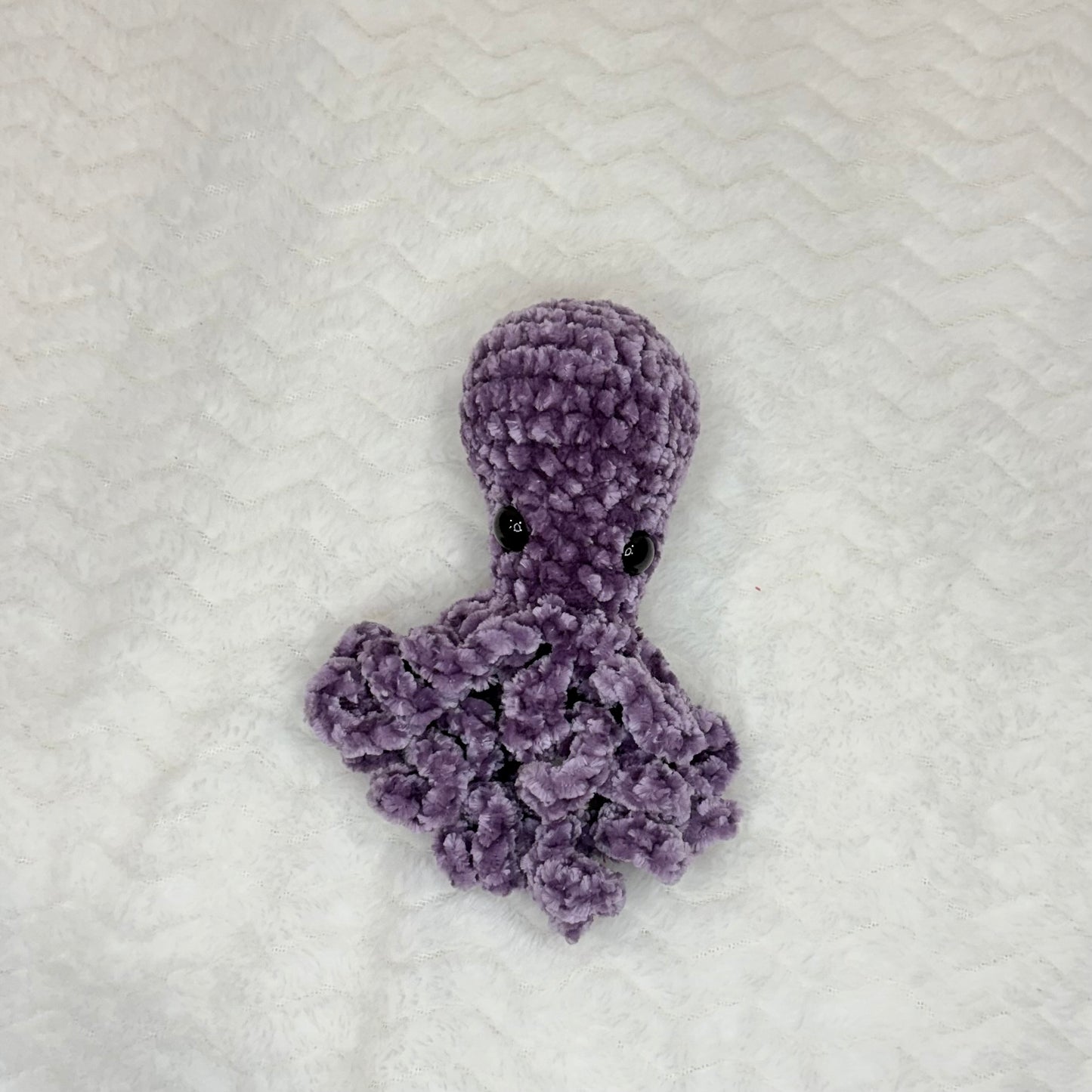 Velvet Octopus