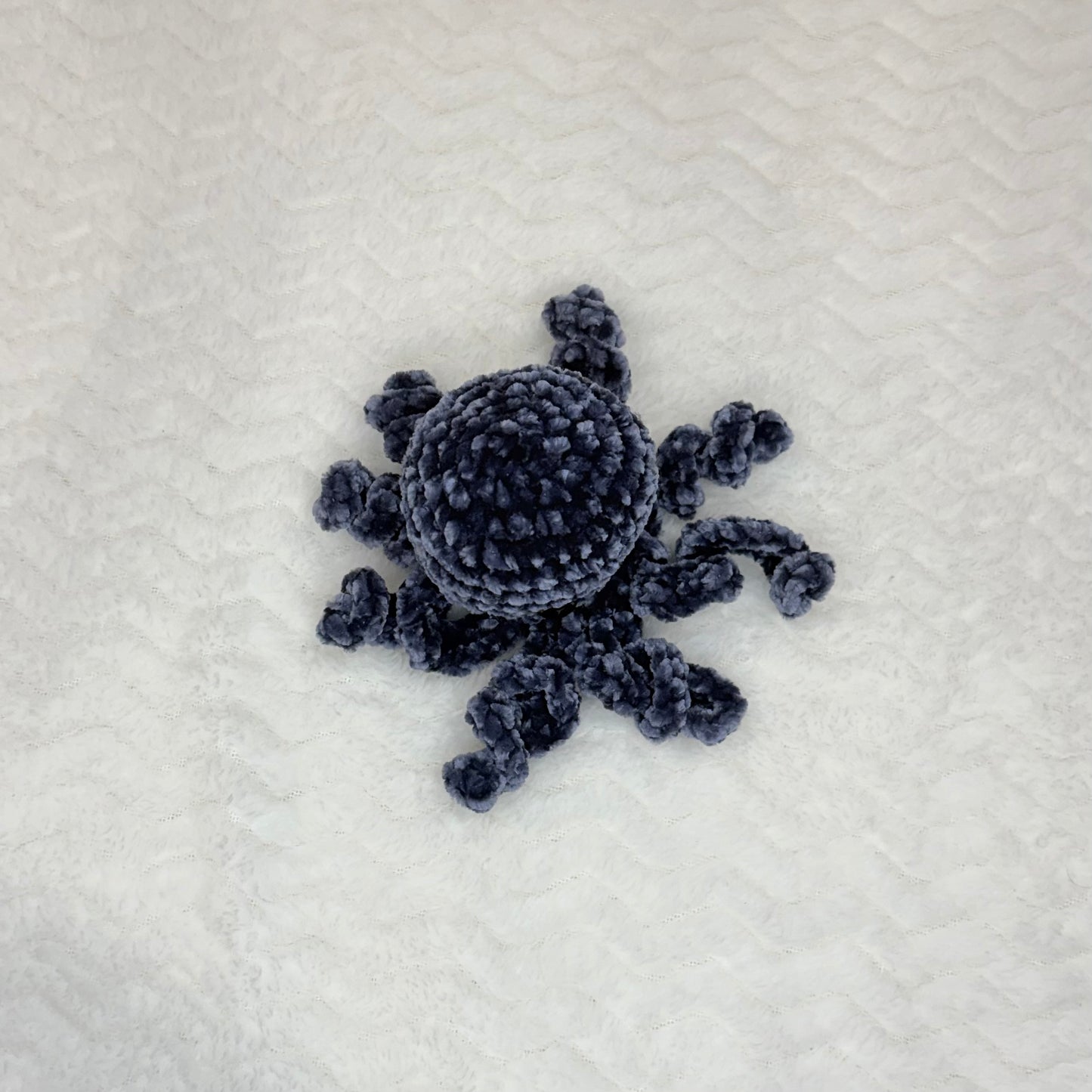 Velvet Octopus