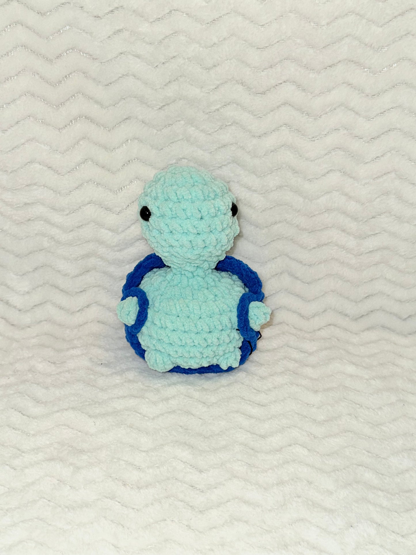 Turtle with a secret