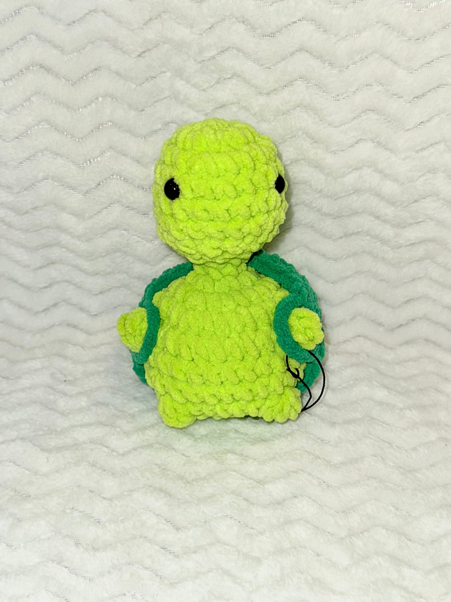 Turtle with a secret